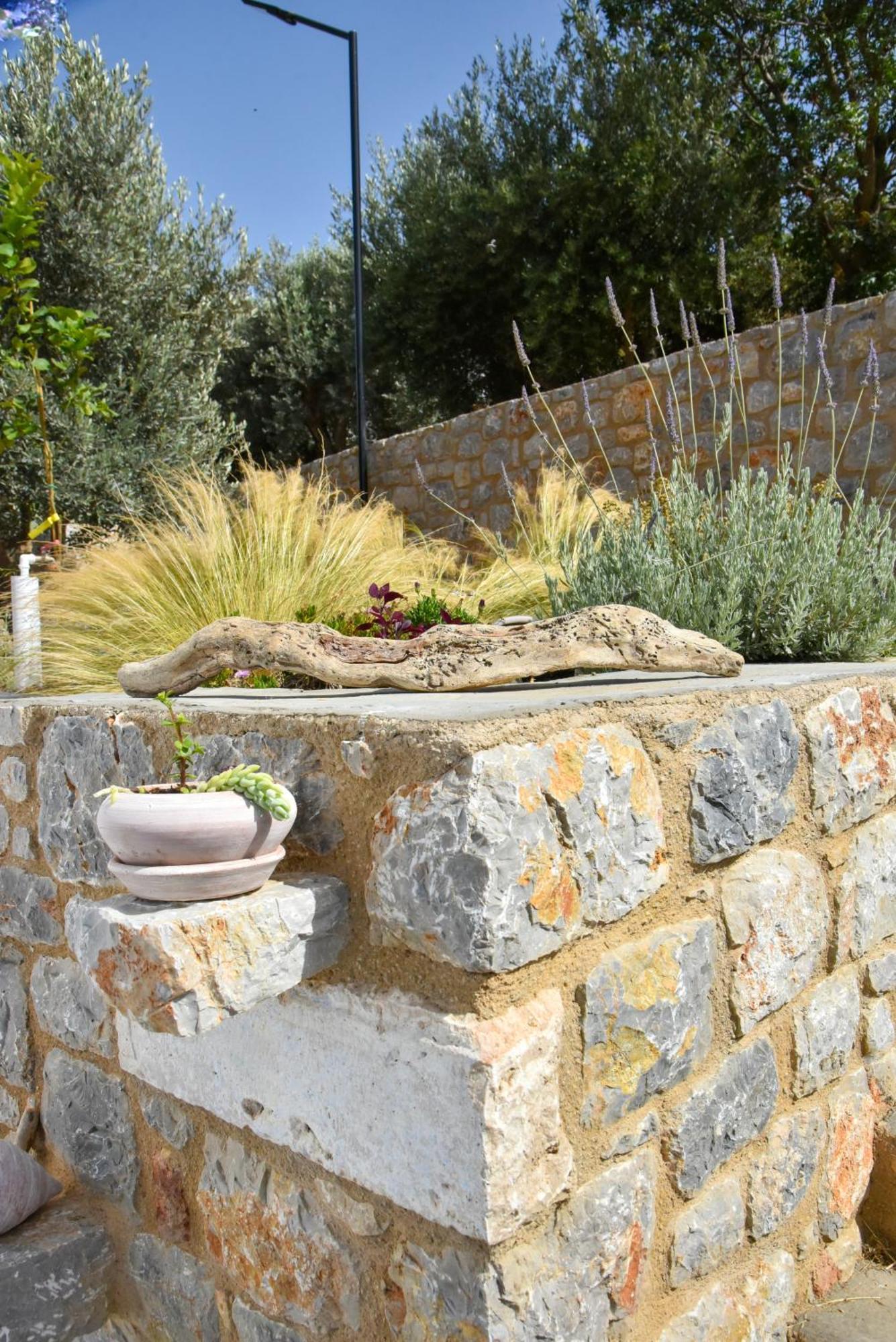 Το Σπιτάκι To Spitaki Τhe Little House Villa Panormos  Exterior photo